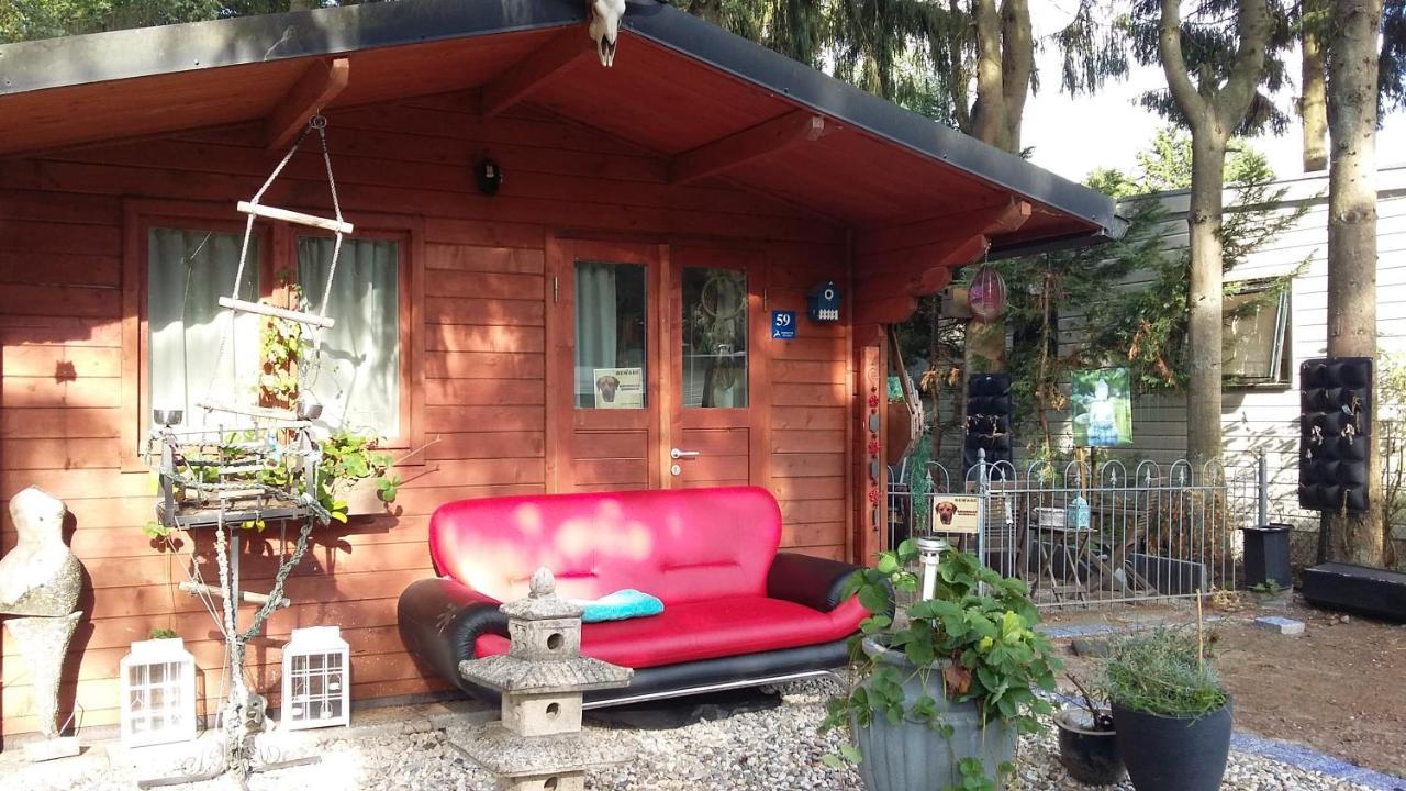 Chalet Op Een Rustig Park In De Natuur Putten Exterior photo